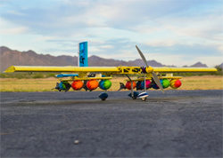 Buzzformer holding the attack stores